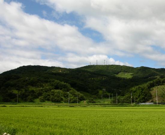 돌담산 이미지