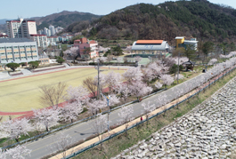 항노화산들길 이미지