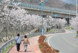 항노화산들길 이미지